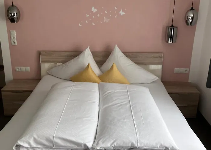 普兰肯斯特纳酒店 招待所 3*