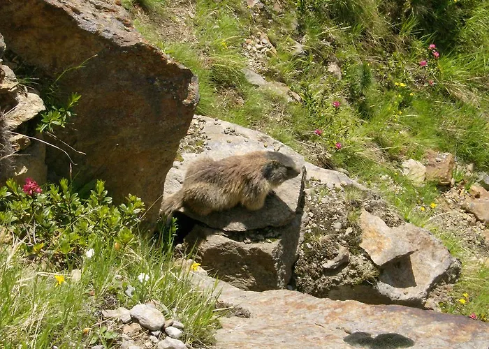 普兰肯斯特纳酒店 考恩台尔
